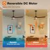 imageaddlon Ceiling Fans with Lights 60 Inch IndoorOutdoor Ceiling Fan with Remote Control Reversible 3 Wood Blades 6 Speeds 3CCT Dimmable Noiseless Large Ceiling Fan for Patio Gazebo Farmhouse60 inch