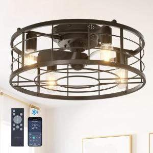 imageaddlon 20quot Black Caged Ceiling Fan with Lights Fandelier Fan with Remote 6 Speeds ampamp Timer Farmhouse Flush Mount Bladeless Ceiling Fan for Bedroom Kitchen Outdoor Low Profile DesignBlack