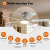 image:imageaddlon 2 Pack Ceiling Fans with Lights 48 inch Black Ceiling Fan with Light and Remote Control Reversible 3CCT Dimmable Noiseless Ceiling Fan for Bedroom Farmhouse IndoorOutdoor UseNickel
