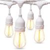 image:imageaddlon LED Outdoor String Lights 48FT with Edison Vintage Shatterproof Bulbs and Commercial Grade Weatherproof Strand  ETL Listed Decorative Lights for Patio GardenWhite
