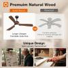 image:imageaddlon 52 inch Ceiling Fans with Lights and Remote 3 Wood Blades Reversible 6 Speeds 3CCT Dimmable Noiseless DC Motor IndoorOutdoor Black Walnut Ceiling Fan for Bedroom Living Room Gazebo PatioClassic