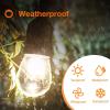 image:imageaddlon Incandescent Replacement Bulbs 11W S14 8 Pack Waterproof E26 Screw Base for Outdoor Incandescent String Lights4 Count Pack of 1