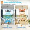 image:imageaddlon 20 Inch Outdoor Ceiling Fan with Light for Patio IP65 Waterproof Plug in Caged Hanging Fan Remote Control 3 CCT 6 Speeds Reversible Outdoor Fan for Gazebo Pergola PorchBlack