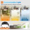 image:imageaddlon 20 Inch Outdoor Ceiling Fan with Light for Patio IP65 Waterproof Plug in Caged Hanging Fan Remote Control 3 CCT 6 Speeds Reversible Outdoor Fan for Gazebo Pergola PorchBlack