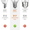 image:imageaddlon LED Replacement Bulbs 1W S14 4 Pack Waterproof E17 Screw Base for Outdoor LED String Lights ShatterproofE1715 Count Pack of 11W