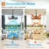 image:imageaddlon 20 Inch Outdoor Ceiling Fans with Lights IP65 Waterproof Plug in Caged Hanging Fan for Gazebo Remote Control 3 CCT 6 Speeds Reversible Outdoor Fan for Patio Pergola PorchBronze