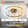 image:imageaddlon 2 Pack Ceiling Fans with Lights and Remote 20 Low Profile Ceiling Fans 30006000K Dimmable Modern Flush Mount LED Fan Light Fandelier Ceiling Fan for Bedroom Kitchen Living RoomBlack