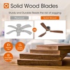 image:imageaddlon 2 Pack 52 Inch Ceiling Fans with Lights Downrod Remote Wood Black  3CCT Dimmable Light 6 Speeds Quiet Reversible DC Motor 3 Wood Blades Timer Memory IndoorCovered Outdoor areasFlush Mount